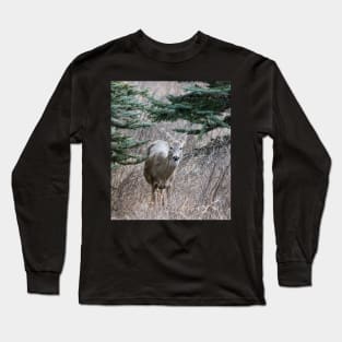 Young deer Long Sleeve T-Shirt